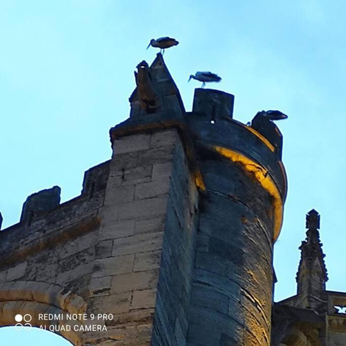 Logis Corneille I Apartment Narbonne Ngoại thất bức ảnh